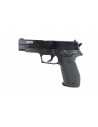 Swiss arms Navy Pistol Spring