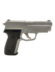 Réplique airsoft ST 229 style P229 SRC Silver 2