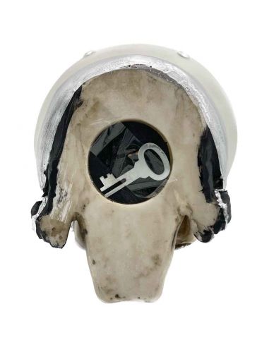 Tirelire crâne avec Casque et Lunettes de Soleil - En Polyrésine