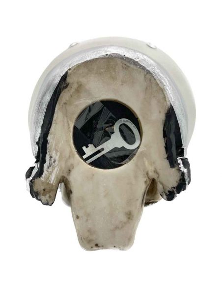 Tirelire crâne avec Casque et Lunettes de Soleil - En Polyrésine