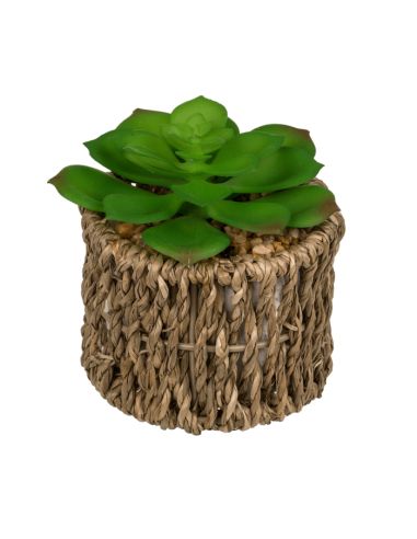 Pot et plante Artificielles  / Dimensions : 8 x 17 cm