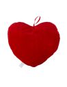 Coussin-Peluche Cœur Rouge / Brodé "Ich liebe Dich" au Fil Noir / Dimensions : 37 x 34 cm