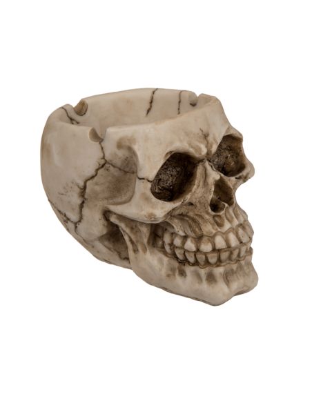 Cendrier en Polyrésine / Crâne Style Gothique / Dimensions : 9 x 8 x 11 cm