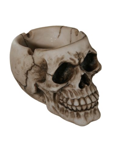 Cendrier en Polyrésine / Crâne Style Gothique / Dimensions : 9 x 8 x 11 cm