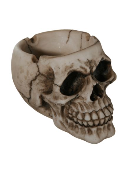 Cendrier en Polyrésine / Crâne Style Gothique / Dimensions : 9 x 8 x 11 cm