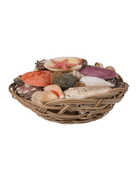 Corbeille de Coquillages  / Dimensions : 15 x 5 cm