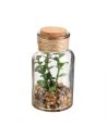 Pot Plante Artificielle en Verre - Dimensions : 12 x 6 cm