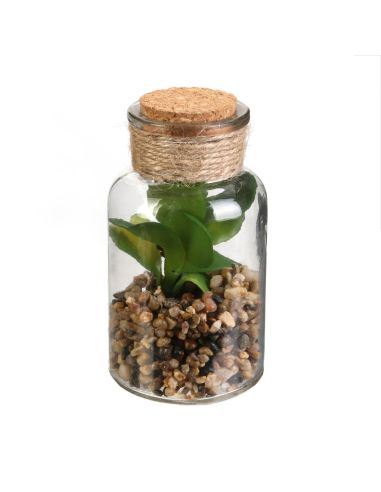 Pot Plante Artificielle en Verre - Dimensions : 12 x 6 cm