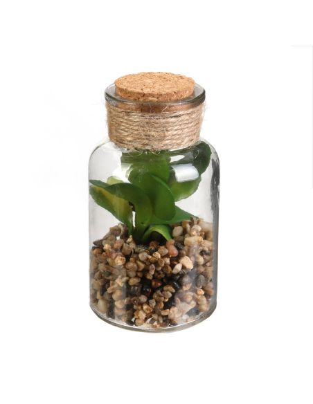 Pot Plante Artificielle en Verre - Dimensions : 12 x 6 cm