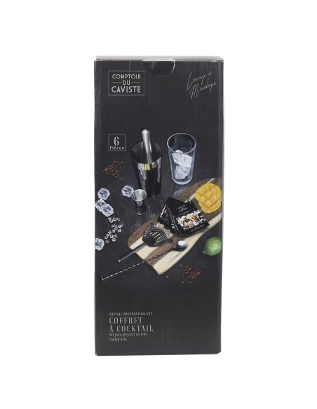 Accessoire de Cuisine / Kit pour Cocktail avec 5 Accessoires et 50 Recettes / Matière : Métal et Acier Inoxydable