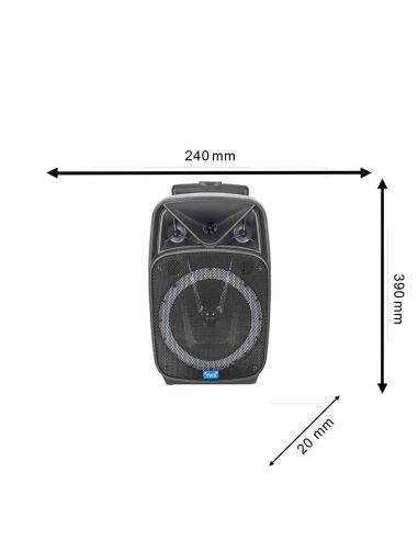 Objet High-Tech / Enceinte Lumineuse Sans Fil 20W Karaoké / 2 Micros et 1 Télécommande Intégrés / Dimensions : 39 x 24 x 20 cm