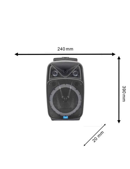 Objet High-Tech / Enceinte Lumineuse Sans Fil 20W Karaoké / 2 Micros et 1 Télécommande Intégrés / Dimensions : 39 x 24 x 20 cm