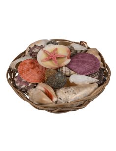 Objet de décoration / Corbeille de Coquillages  / Dimensions : 15 x 5 cm