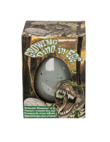 Figurine Dinosaure / Œuf Magique de Dinosaure / Grand Modèle / Dimensions : 7.4 x 12 cm