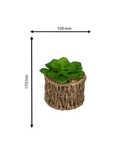 Pot et plante Artificielles  / Dimensions : 8 x 17 cm