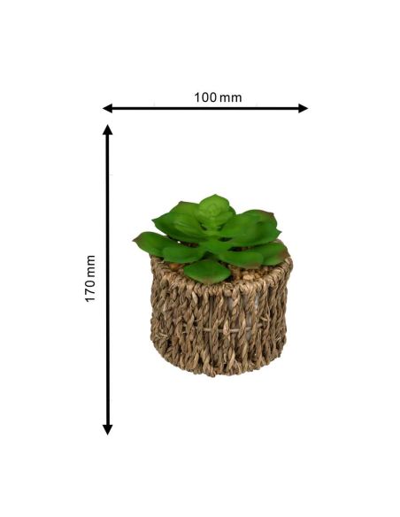 Pot et plante Artificielles  / Dimensions : 8 x 17 cm