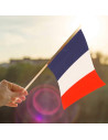 Lot de 6 Drapeaux Tricolores Bleu, Blanc, Rouge - Dimensions : 30 x 16 cm