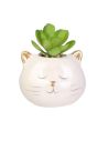 Plante Artificielle avec Pot Chat ou Licorne en Céramique