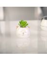Plante Artificielle avec Pot Chat ou Licorne en Céramique