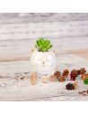 Plante Artificielle avec Pot Chat ou Licorne en Céramique