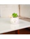 Plante Artificielle avec Pot Chat ou Licorne en Céramique