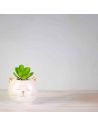 Plante Artificielle avec Pot Chat ou Licorne en Céramique