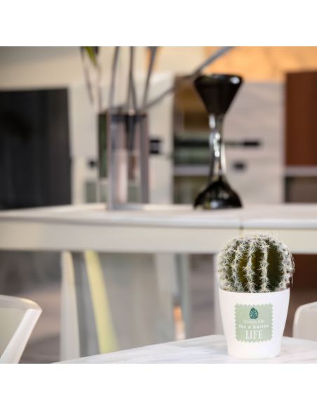 Plante Artificielle en Pot Blanc