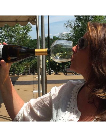 Accessoire de Table / Verseur pour Bouteille en Verre avec Joint Silicone "Verre de Vin"