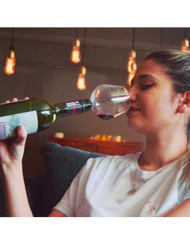 Accessoire de Table / Verseur pour Bouteille en Verre avec Joint Silicone "Verre de Vin"