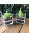Lot de 2 Bougies Forme Cactus avec Verrine / Dimension : 5,3 x 5,5 cm