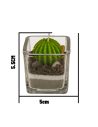 Lot de 2 Bougies Forme Cactus avec Verrine / Dimension : 5,3 x 5,5 cm