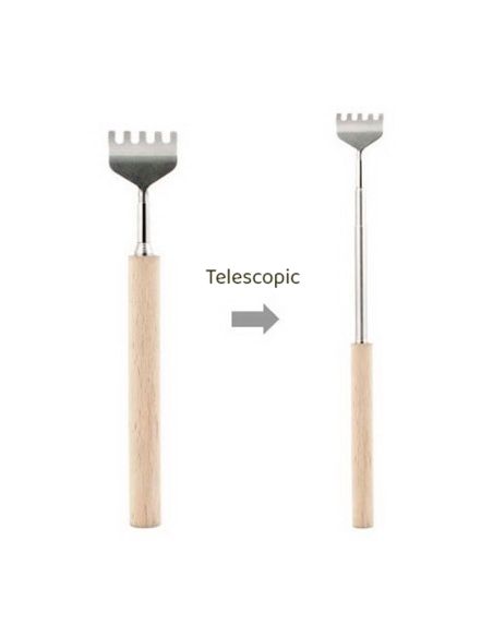 Relaxation Corporelle / Gratte-dos téléscopique en métal avec manche en bois