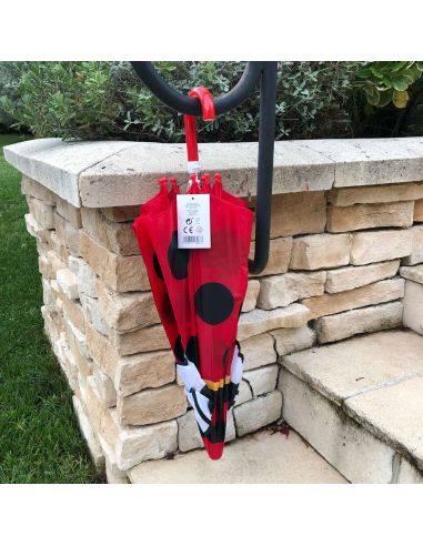 Parapluie fantaisie pour Enfants  - Dimensions ouvert : 59 x 70 cm