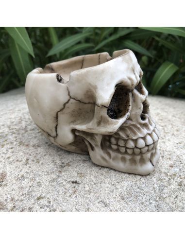 Cendrier en Polyrésine / Crâne Style Gothique / Dimensions : 9 x 8 x 11 cm