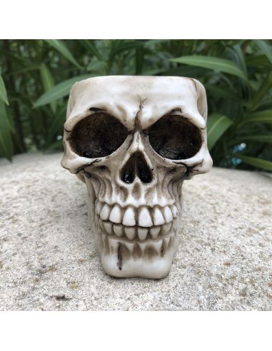 Cendrier en Polyrésine / Crâne Style Gothique / Dimensions : 9 x 8 x 11 cm