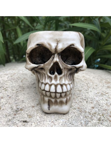 Cendrier en Polyrésine / Crâne Style Gothique / Dimensions : 9 x 8 x 11 cm