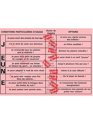 Faux Permis Humoristique " 18 ans Permis de Fêter sa Majorité" - Dimensions : 44 x 20,5 cm