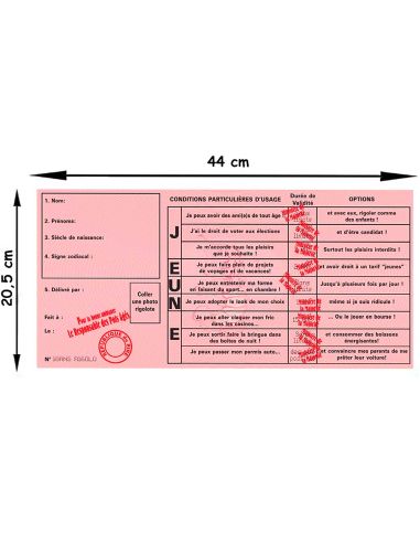 Faux Permis Humoristique " 18 ans Permis de Fêter sa Majorité" - Dimensions : 44 x 20,5 cm