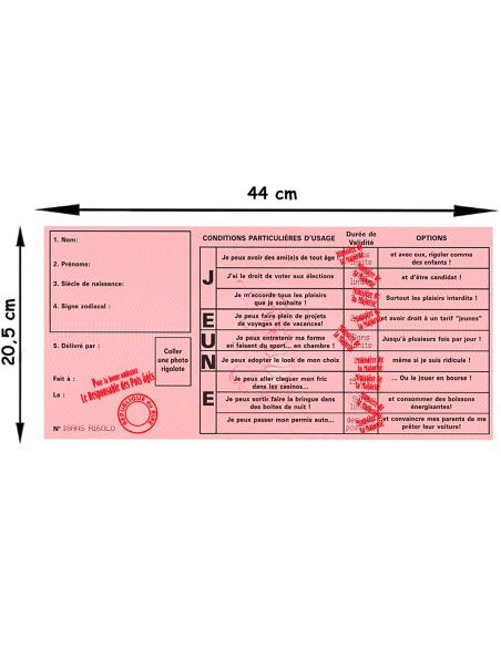 Faux Permis Humoristique " 18 ans Permis de Fêter sa Majorité" - Dimensions : 44 x 20,5 cm