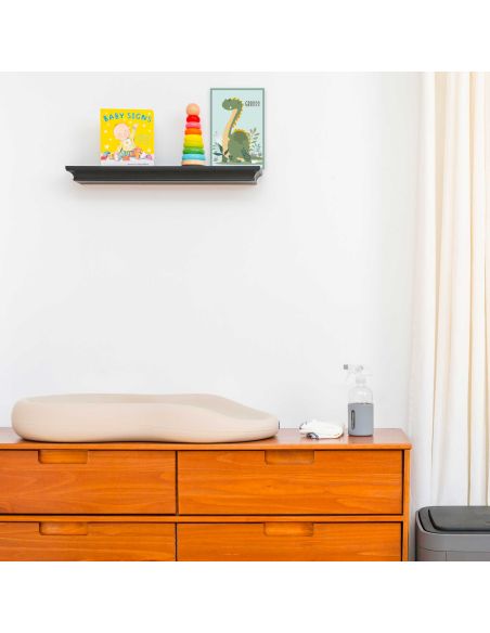 Toile Murale Dinosaure / Dimensions : 30 x 20 x 2 cm