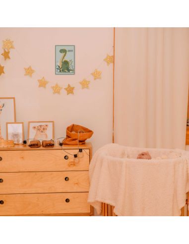 Toile Murale Dinosaure / Dimensions : 30 x 20 x 2 cm