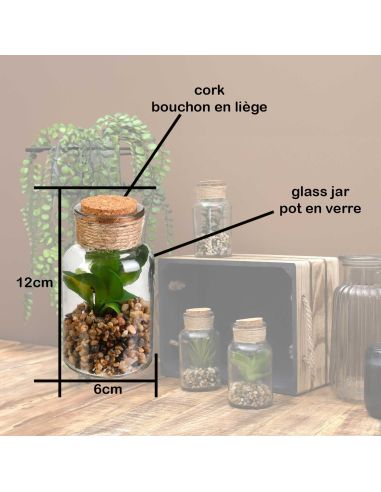 Pot Plante Artificielle en Verre - Dimensions : 12 x 6 cm