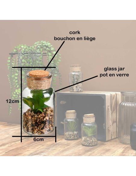 Pot Plante Artificielle en Verre - Dimensions : 12 x 6 cm