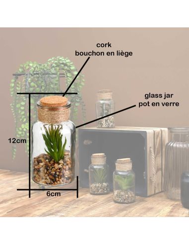 Pot Plante Artificielle en Verre - Dimensions : 12 x 6 cm