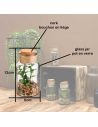 Pot Plante Artificielle en Verre - Dimensions : 12 x 6 cm