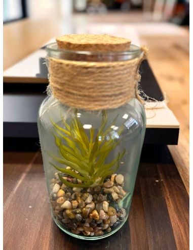 Pot Plante Artificielle en Verre - Dimensions : 12 x 6 cm