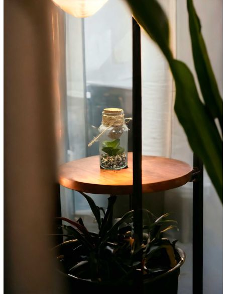 Pot Plante Artificielle en Verre - Dimensions : 12 x 6 cm