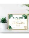 Cadre Diplôme Officiel de la Retraite - Dimensions :  25,5 x 21 x 1,5 cm