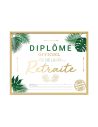 Cadre Diplôme Officiel de la Retraite - Dimensions :  25,5 x 21 x 1,5 cm