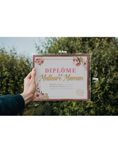 Cadre Diplôme de la Meilleure Maman - Dimensions :  25,5 x 21 x 1,5 cm